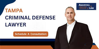 Criminal Lawyers in the United States